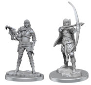 D&D Nolzur's Marvelous Minis: Wave 20