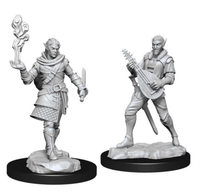 Critical Role: Pallid Elf Rogue & Bard Male W1