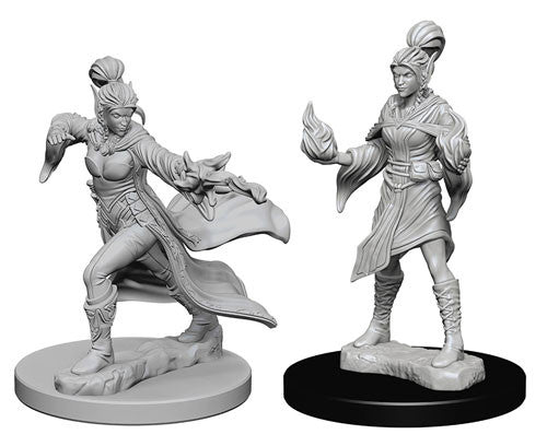 Deepcuts Pathfinder Elf Female Sorcerer
