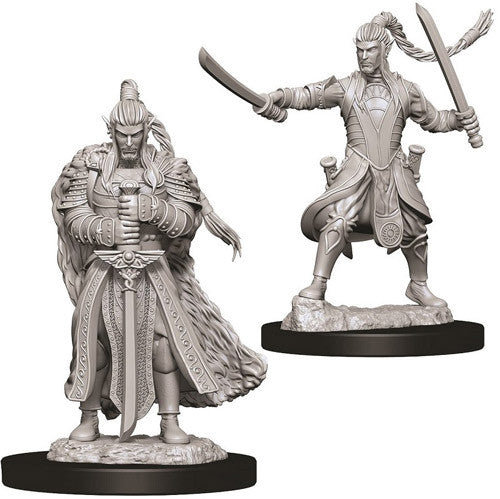 Elf Paladin Male Unpainted