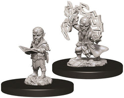 Male Gnome Sorcerer