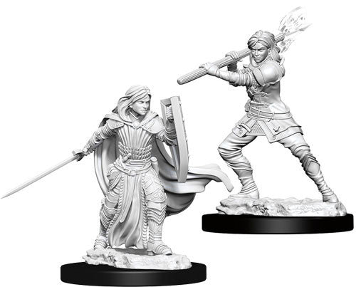 Human Paladin Female Unpainted