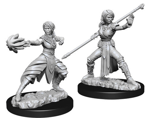 Half-Elf Monk Female Unpainted