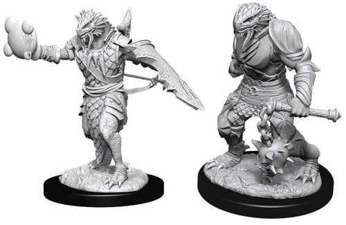 Dragonborn Paladin Unpainted