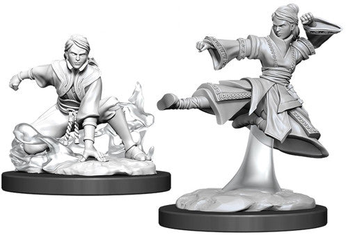 Human Monk Female Unpainted