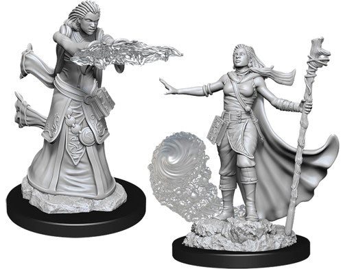 Human Wizard Female Unpainted