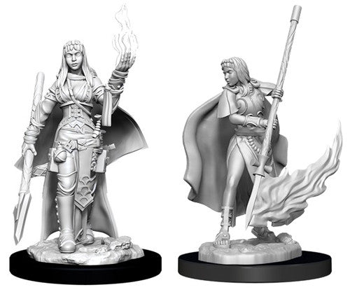 Pathfinder Deepcuts Female Human Orcacle (Magic User)