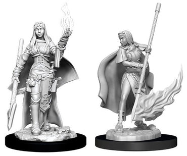 Pathfinder Deepcuts Female Human Orcacle (Magic User)