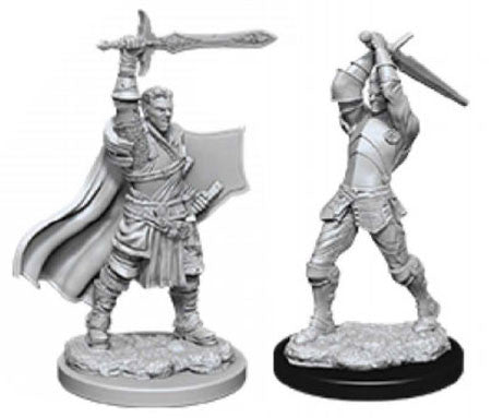 Human Paladin Unpainted