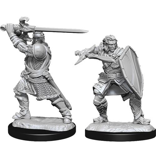 Human Paladin Unpainted
