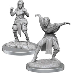 Wizkids Unpainted Miniatures Wave 21